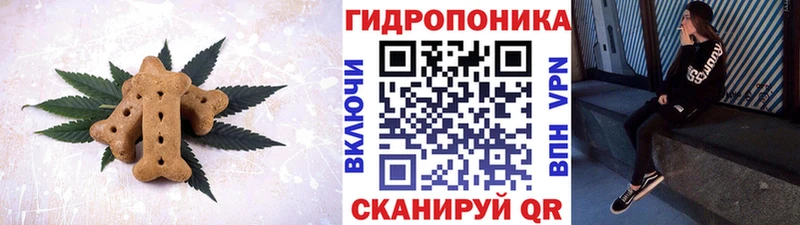 закладки  Ирбит  Canna-Cookies конопля 